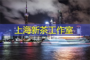 爱上海后花园：疯狂趴体之旅：畅享上海最精彩的夜间派对活动