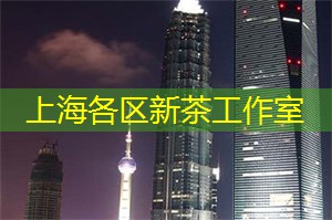上海新茶工作室：活力四溢的上海新茶工作室，给你带来与众不同的茶叶体验！