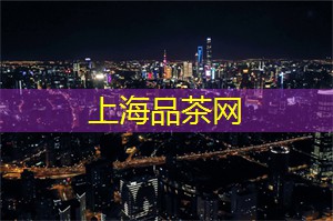 上海龙凤419：传统与现代的碰撞，领略上海独特的摩登韵味
